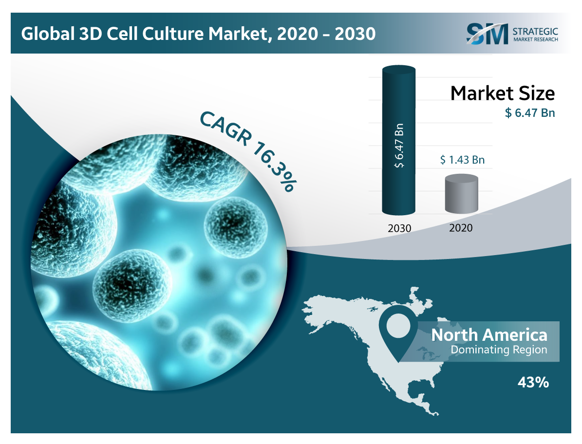 3D Cell Culture Market to reach 6.47 billion in 2030 with a CAGR of around 16.3%