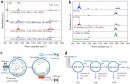 Breakthrough could revolutionize the way we refine fuels and store hydrogen