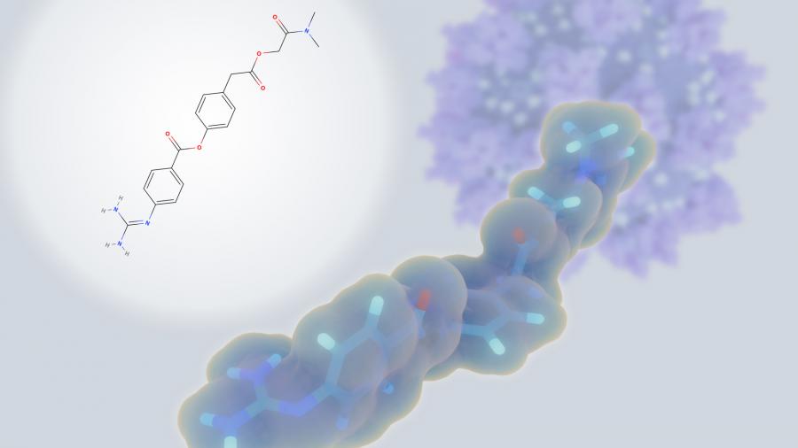 Protease Market Expected to Reach $5,762.7 Million | North America was the highest revenue contributor