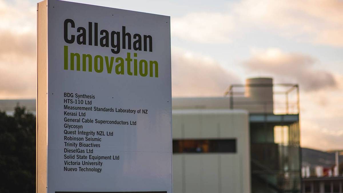 Callaghan Innovation director resigns over reports relating to celebrity-backed private firm