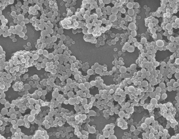 Advanced type of nanoparticle could help fight hard-to-treat cancers