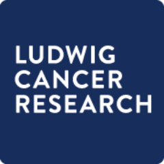 Ludwig Chicago nanotechnology indicues therapeutic immune responses against multiple types of tumors