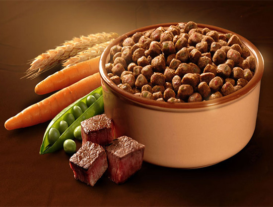 Dog Food Market Size, Industry Share, Trends, Growth Opportunity and Forecast Report 2022-2027