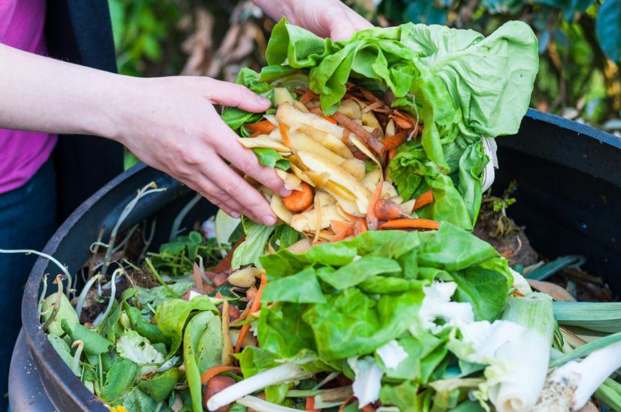 Food Waste Management Market expected to exhibit a CAGR of 6.2% by 2022-2027 | Forecast Report