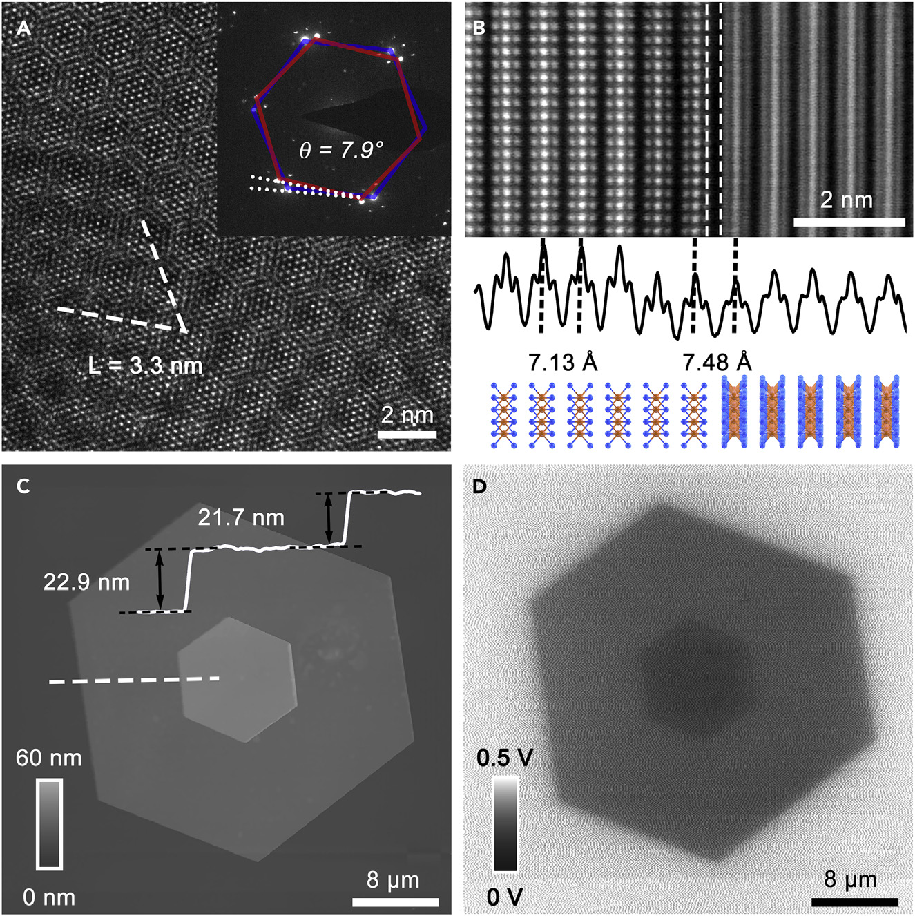 Structural characterization of twisted PbI2 homostructures