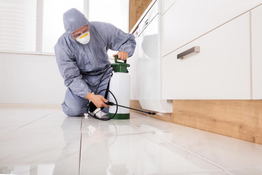 Pest Control Market Size to reach US$ 30.8 Billion by 2027 | Growth rate (CAGR of 5.4%)