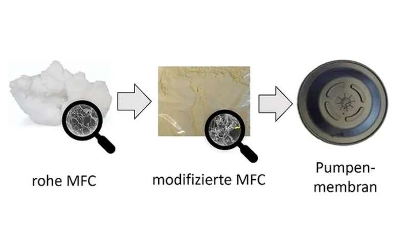 Renewable cellulose-based fillers have potential to increase sustainability of rubber products