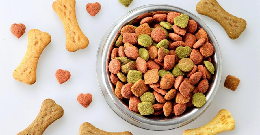 UAE Pet Food Market to Reach US$ 129.4 Million by 2027 | CAGR of 6.16%