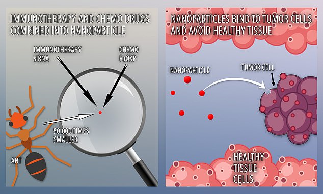 Potential cancer breakthrough as scientists develop 'nanodrug' that delivers chemo to tumors 