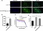 HA-DOPE-Modified Honokiol-Loaded Liposomes Targeted Therapy for Osteosarcoma