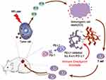 Multifunctional Nanoparticles-Mediated PTT/PDT Synergistic Immune Activation and Antitumor Activity Combined with Anti-PD-L1 Immunotherapy for Breast Cancer Treatment