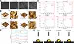 Selective Polyetheretherketone Implants Combined with Graphene Cause Definitive Cell Adhesion and Osteogenic Differentiation