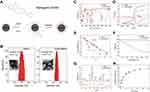 Magnetically Guided Intracartilaginous Delivery of Kartogenin Improves Stem Cell-Targeted Degenerative Arthritis Therapy