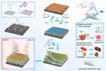 A Biomimetic Smart Nanoplatform as “Inflammation Scavenger” for Regenerative Therapy of Periodontal Tissue