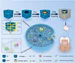 Functionalized Prussian Blue Nanozyme as Dual-Responsive Drug Therapeutic Nanoplatform Against Maxillofacial Infection via Macrophage Polarization