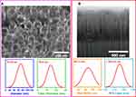 Recovering Osteoblast Functionality on TiO2 Nanotube Surfaces Under Diabetic Conditions