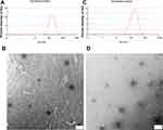 Combined Docetaxel/Pictilisib-Loaded mPEGylated Nanocarriers with Dual HER2 Targeting Antibodies for Synergistic Chemotherapy of Breast Cancer