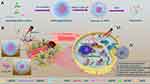 pH/Redox Dual-Responsive Drug Delivery System with on-Demand RGD Exposure for Photochemotherapy of Tumors