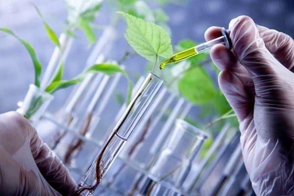 Bio-Based Polyethylene Market To Grow at 5.27% During 2022-2027