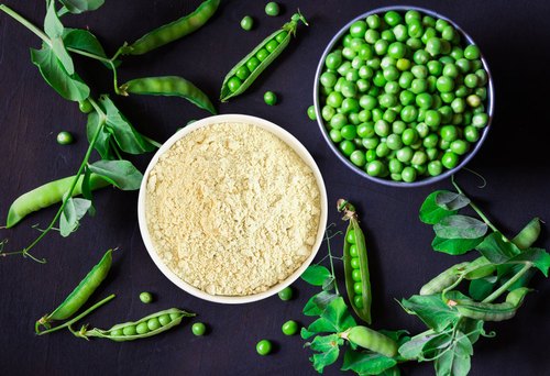 Pea Protein Market Price 2022: Size (US$ 1,802 Million), Growth (CAGR 13.6%), Share, Top Companies to Invest by 2027