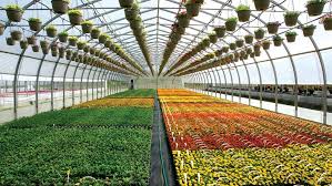 Greenhouse Horticulture Market Size to Reach US$ 43.85 Billion by 2027- Global Industry Analysis, Share, Size, Growth