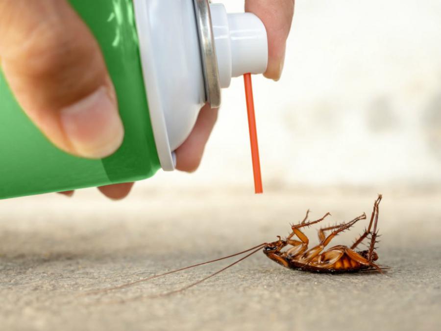 Household Insecticides Market To Reach US$ 22.4 Billion by 2027 | CAGR of 7.4%