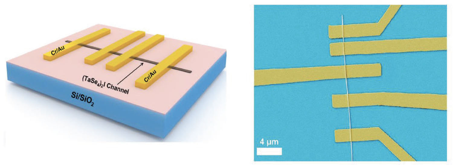 One-dimensional Weyl semimetals as unique topological materials for future electronics