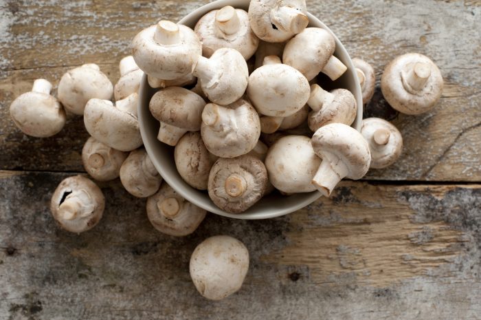 India Mushroom Market To Grow at CAGR of 7.6% During 2023-2028