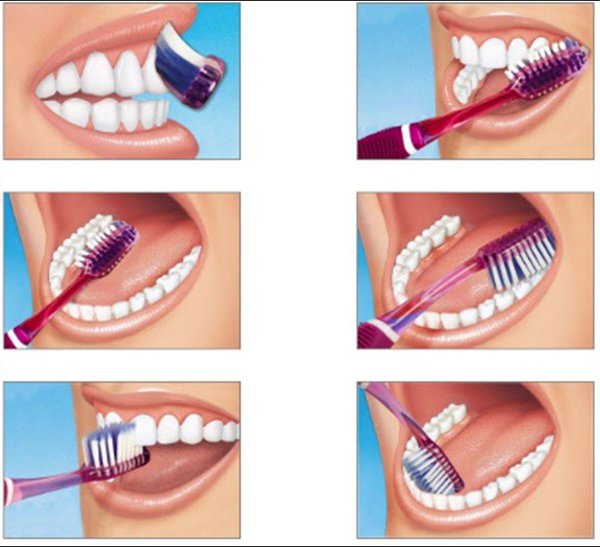 Japan Oral Hygiene Market Growth, Industry Demand, Share, Size, and Analysis Report 2021-2026