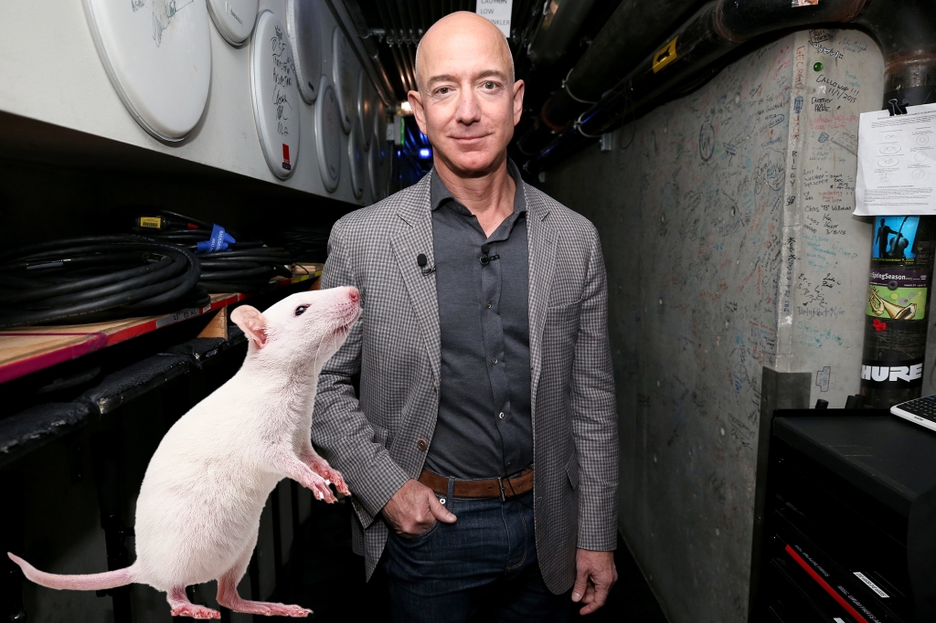 Want some cheese? Jeff Bezos-backed Altos is paying millions to develop life-extension tech.