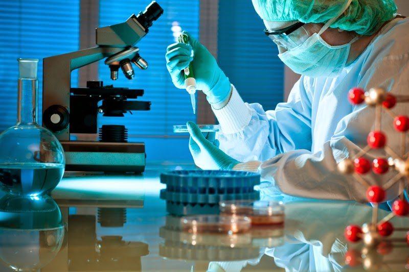 Medical Biomimetics Market Positioning And Growing Market Share Worldwide Till 2028 | AVINENT Science and Technology.