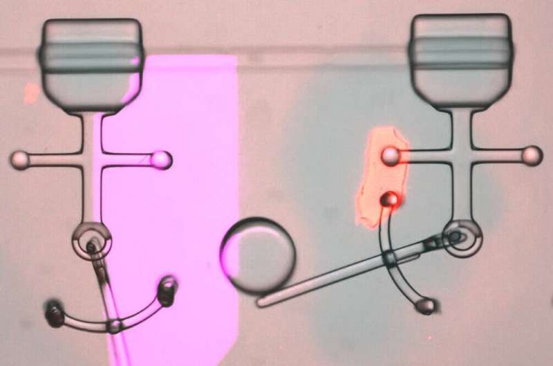 3D-printing microrobots with multiple component modules inside a microfluidic chip