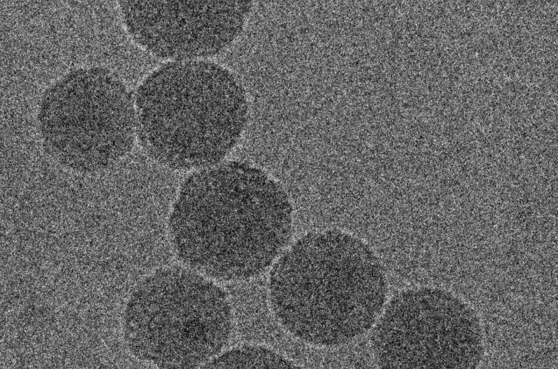 Novel nanoparticles deliver innovative cancer chemoimmunotherapy