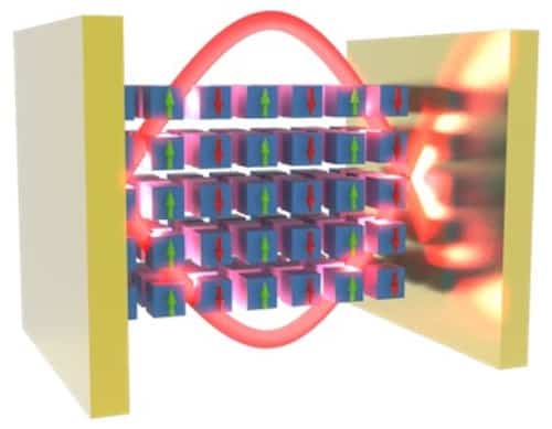 Half-light, half-matter quasiparticle appears in a van der Waals magnet