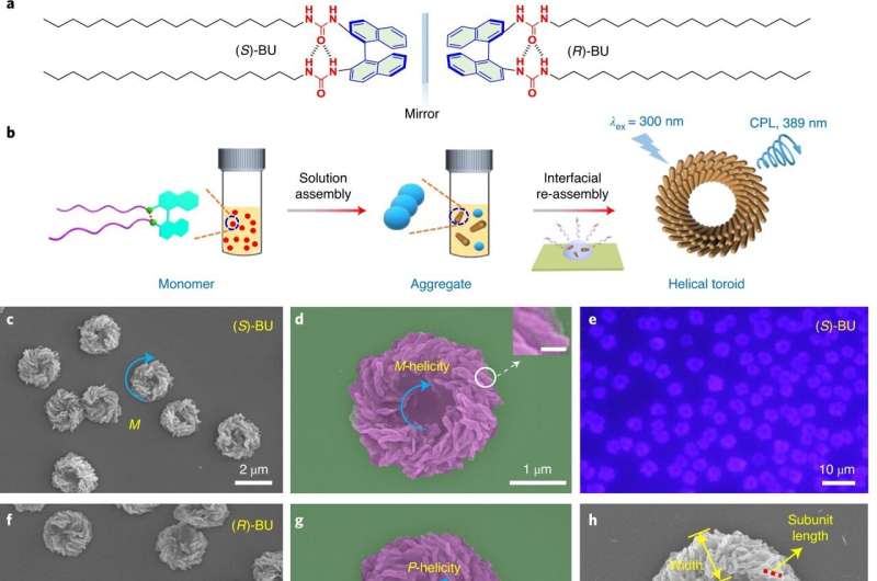 Researchers develop hierarchically self-assembled homochiral helical microtoroids