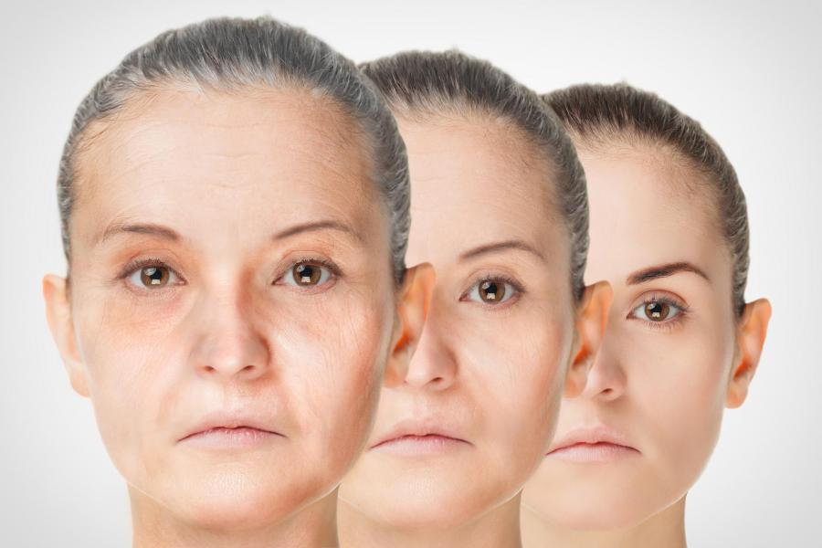 Anti Aging Market Size, Industry Statistics 2022, Growth, Trends, Demographics and Revenue Forecast by 2027