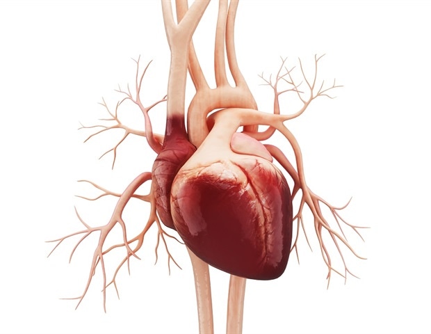 Novel wearable device can monitor physiological parameters associated with heart failure in real-time