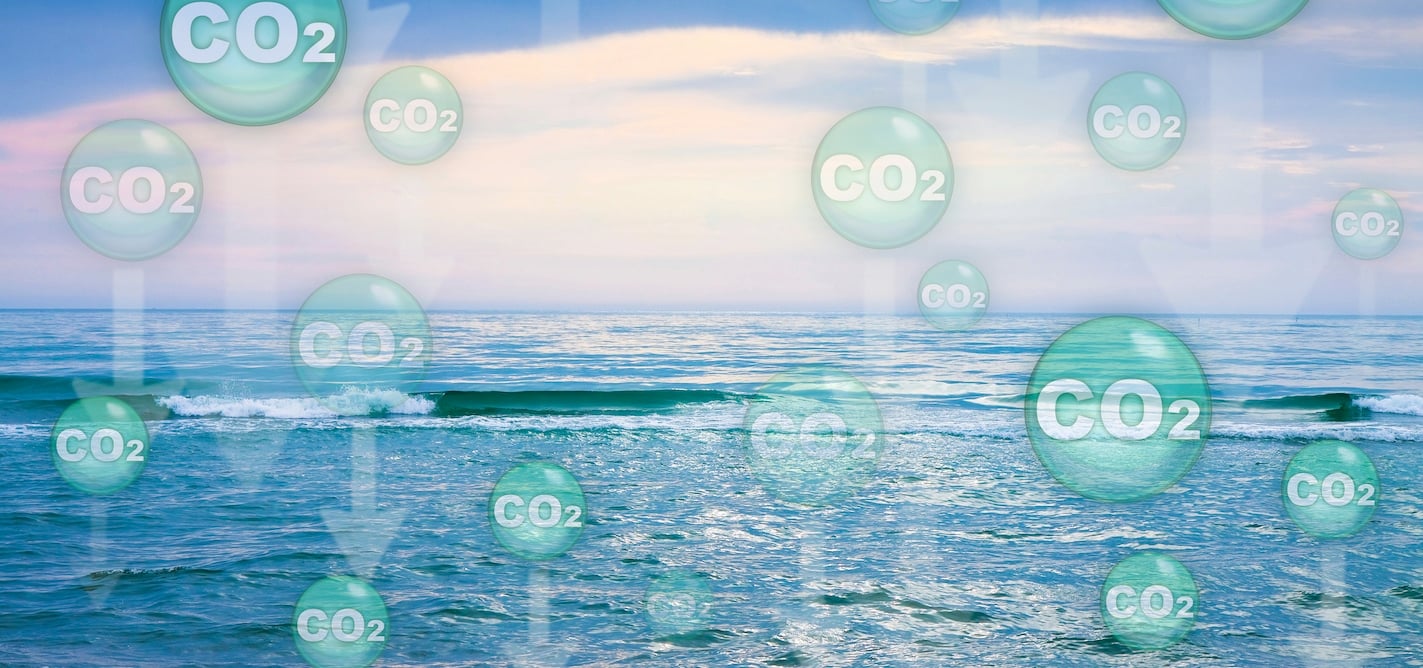 Researchers Want to Fertilize The Ocean To Store Carbon Dioxide