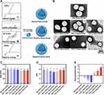 Role of Surface Charge of Nanoscale Ultrasound Contrast Agents in Complement Activation and Phagocytosis