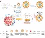 Multifunctional ROS-Responsive and TME-Modulated Lipid-Polymer Hybrid Nanoparticles for Enhanced Tumor Penetration