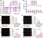 Biocompatible Assessment of Erythrocyte Membrane-Camouflaged Polymeric PLGA Nanoparticles in Pregnant Mice: Both on Maternal and Fetal/Juvenile Mice