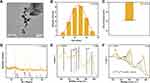 Alginate/Gelatin Hydrogel Scaffold Containing nCeO2 as a Potential Osteogenic Nanomaterial for Bone Tissue Engineering