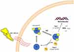 Combined Photodynamic and Photothermal Therapy and Immunotherapy for Cancer Treatment: A Review