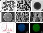 Bioactive Nanocomposite Microsponges for Effective Reconstruction of Critical-Sized Calvarial Defects in Rat Model