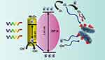 Antibacterial Pathways in Transition Metal-Based Nanocomposites: A Mechanistic Overview