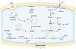 Ferroptosis: Reviewing CRC with the Third Eye