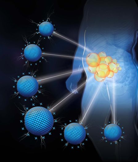 Columbia University Obesity Treatment: Nanotechnology Reduces Fat at Targeted Locations