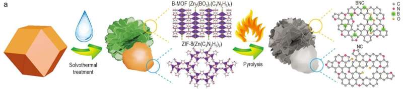 A Janus carbon electrocatalyst can balance intrinsic activity and electronic conductivity