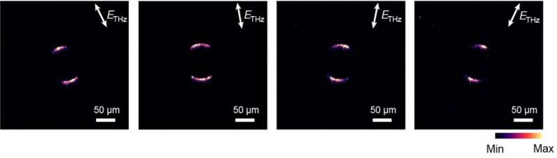 A room-temperature terahertz camera based on a CMOS and quantum dots