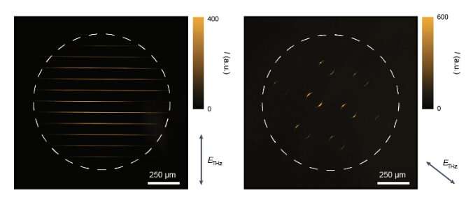 A room-temperature terahertz camera based on a CMOS and quantum dots